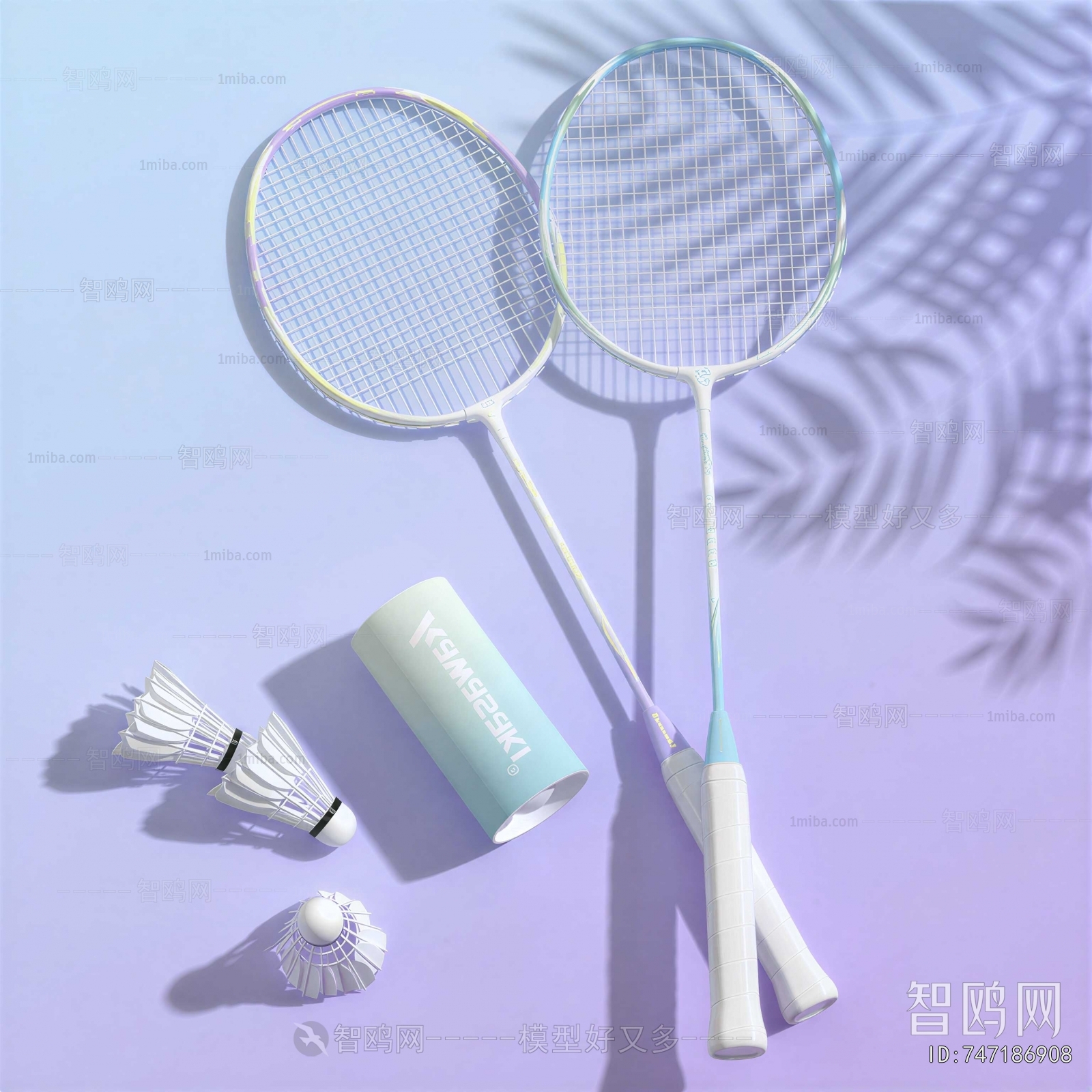 Modern Ball Equipment