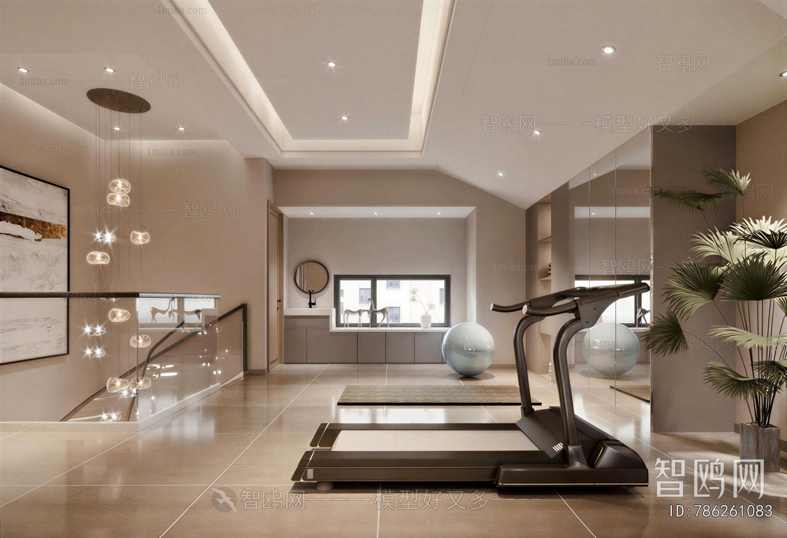Modern Home Fitness Room