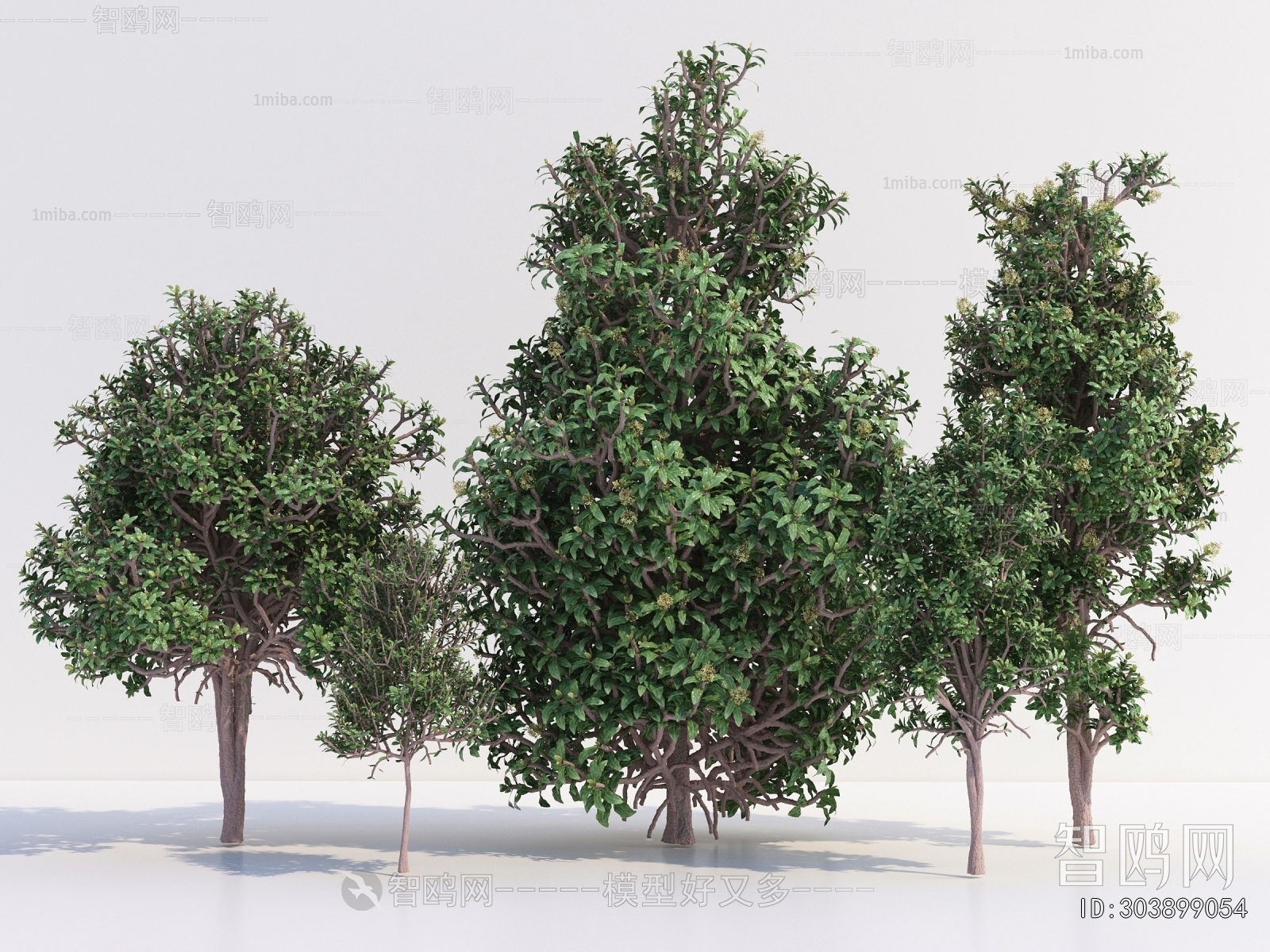 Modern Tree