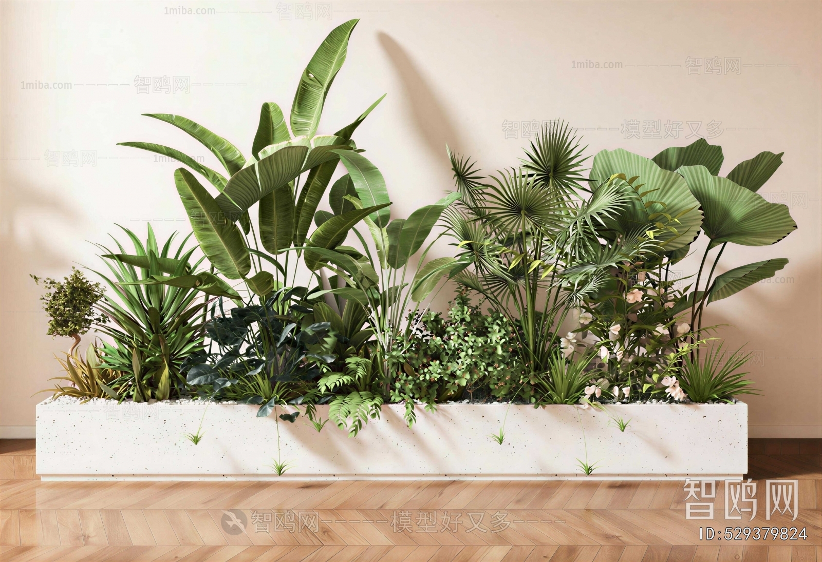 Modern Plant Landscaping