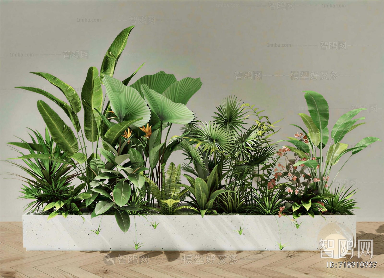 Modern Flower Bed, Flower Bowl, Flower Box