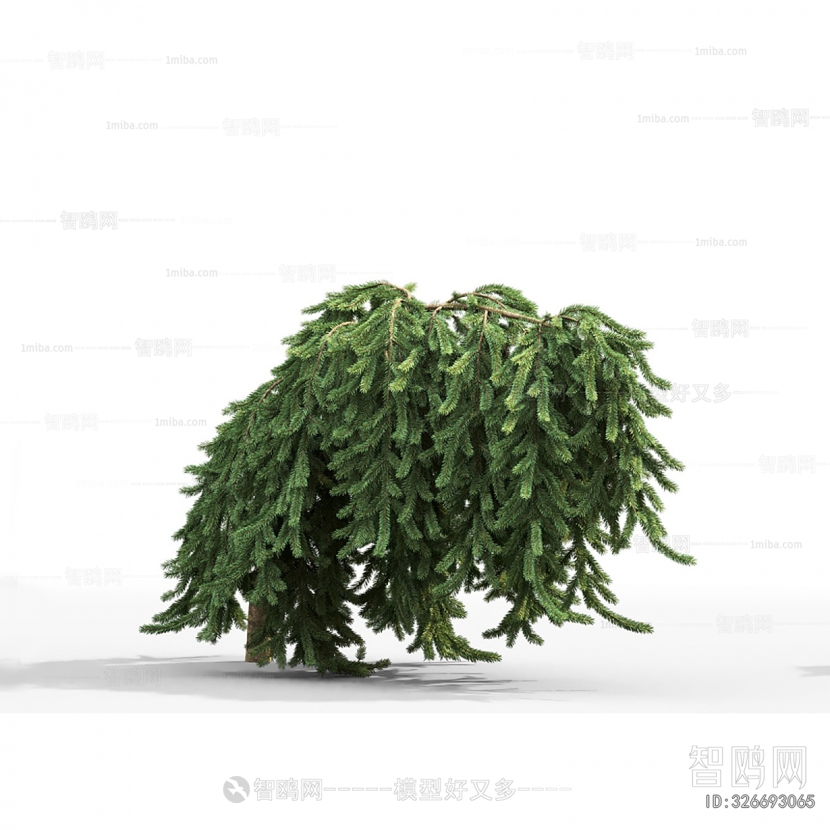 Modern Shrubbery