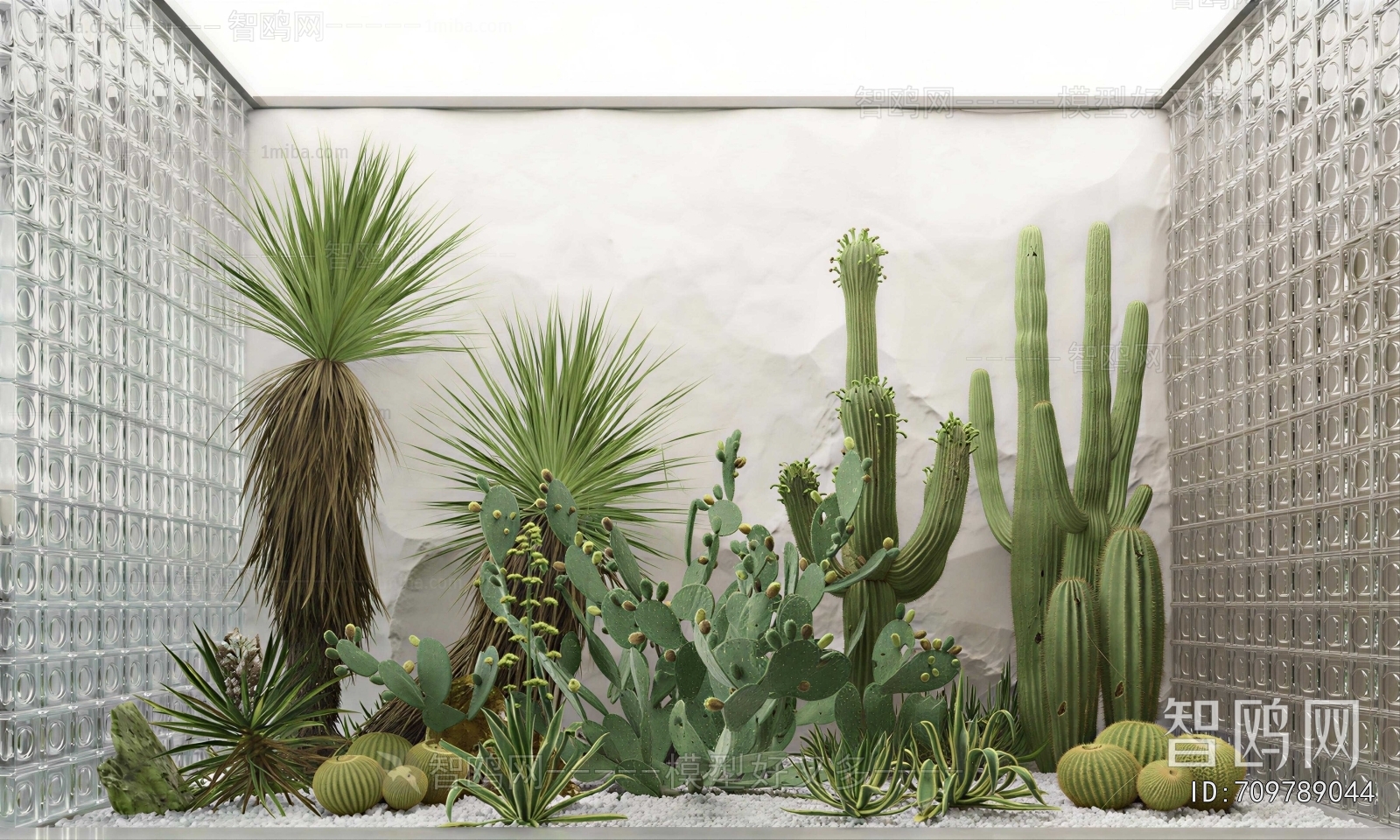 Modern Plant Landscaping