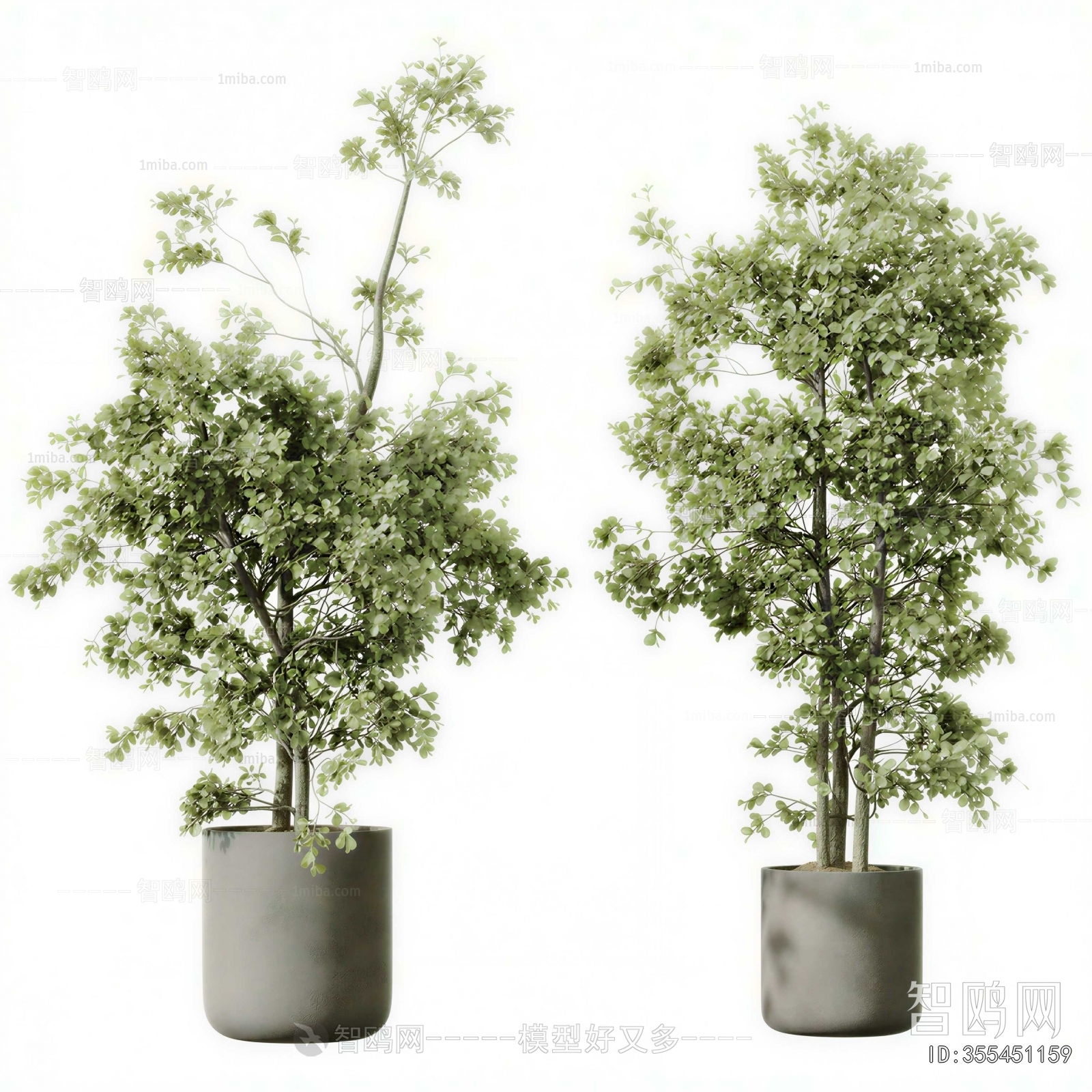 Modern Ground Green Plant Potted Plants