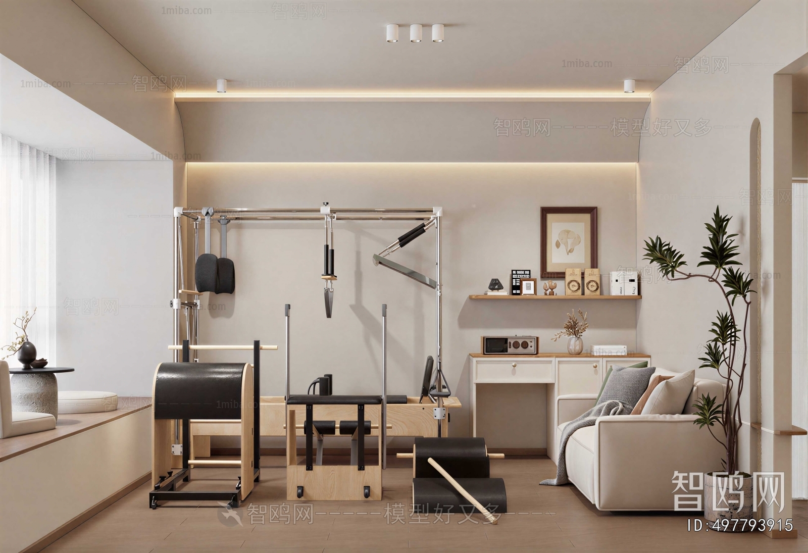 Modern Home Fitness Room
