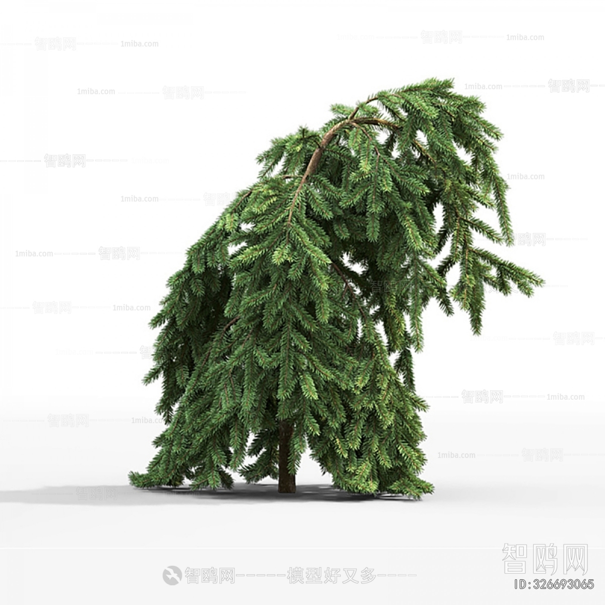 Modern Shrubbery