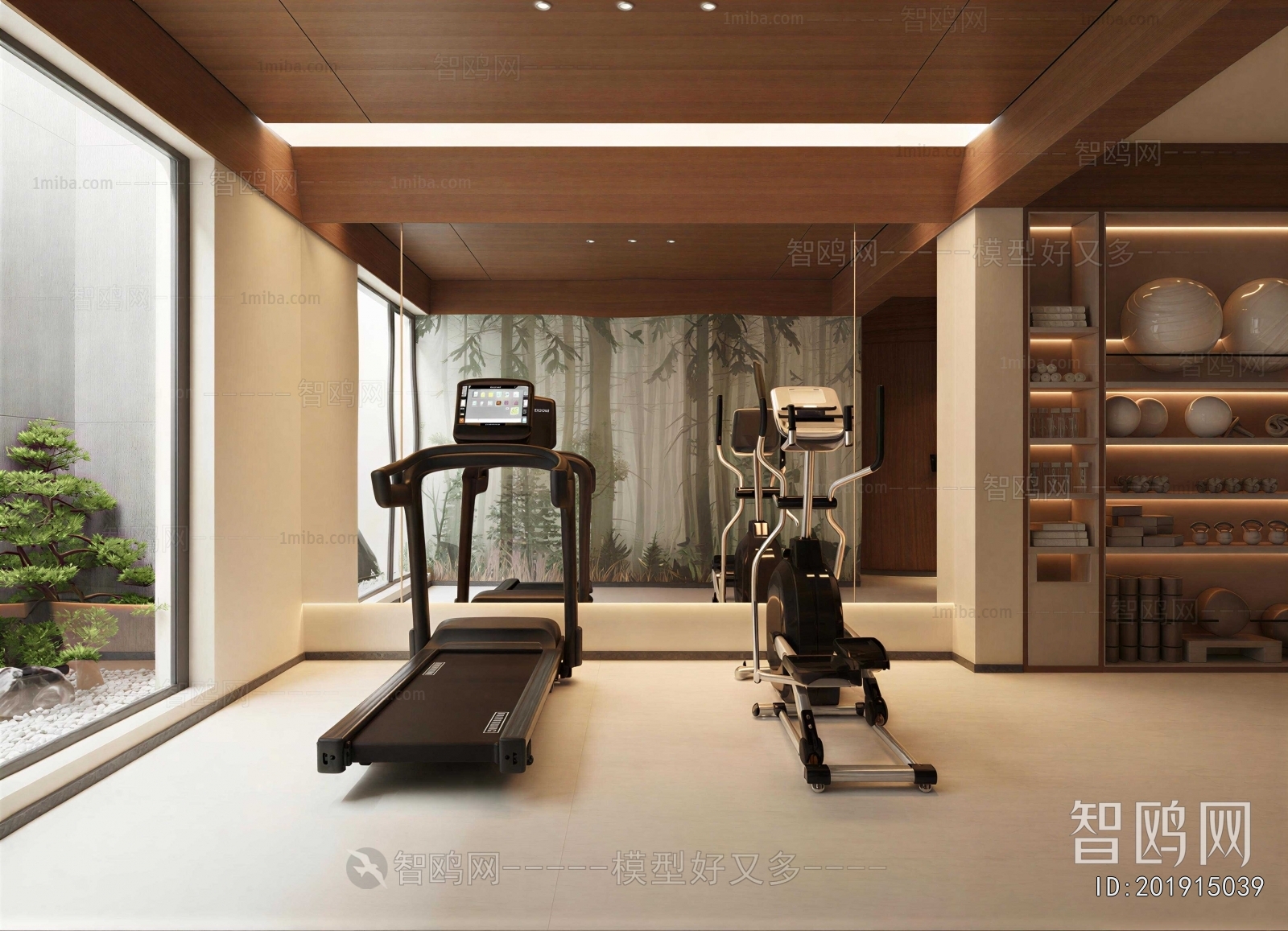 Modern Home Fitness Room