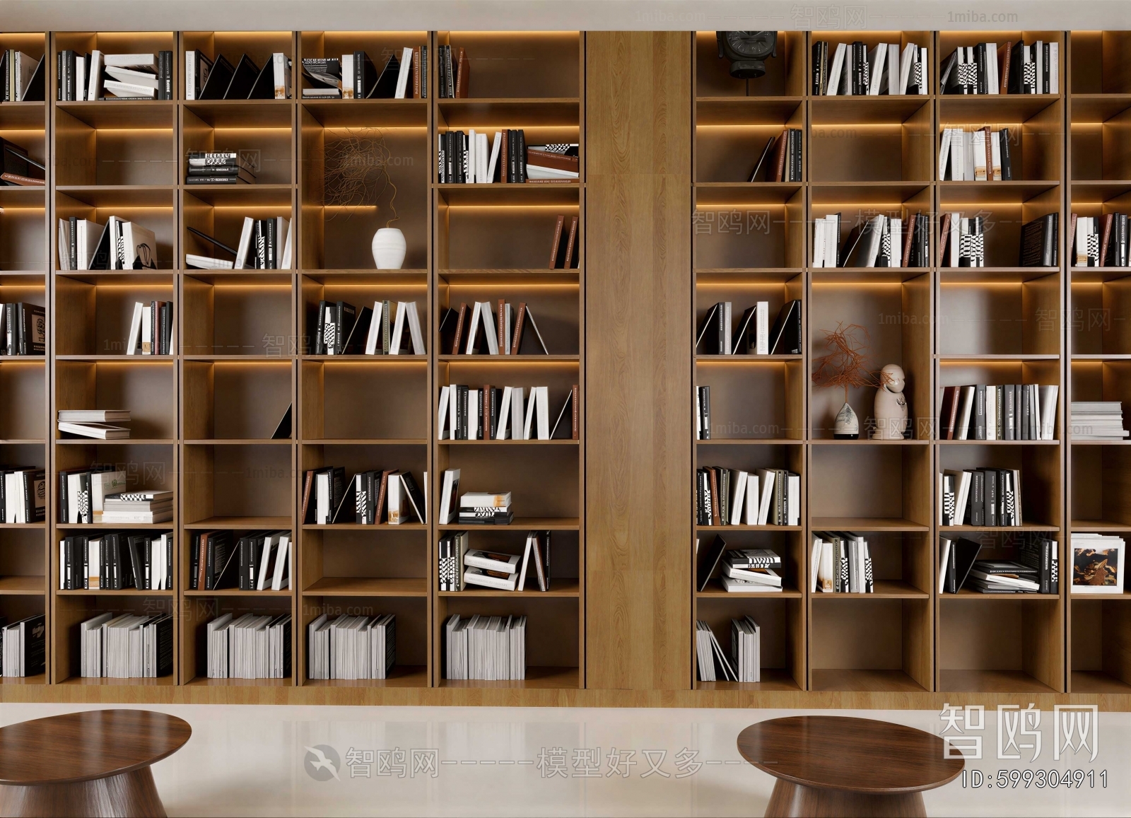 Modern Bookcase