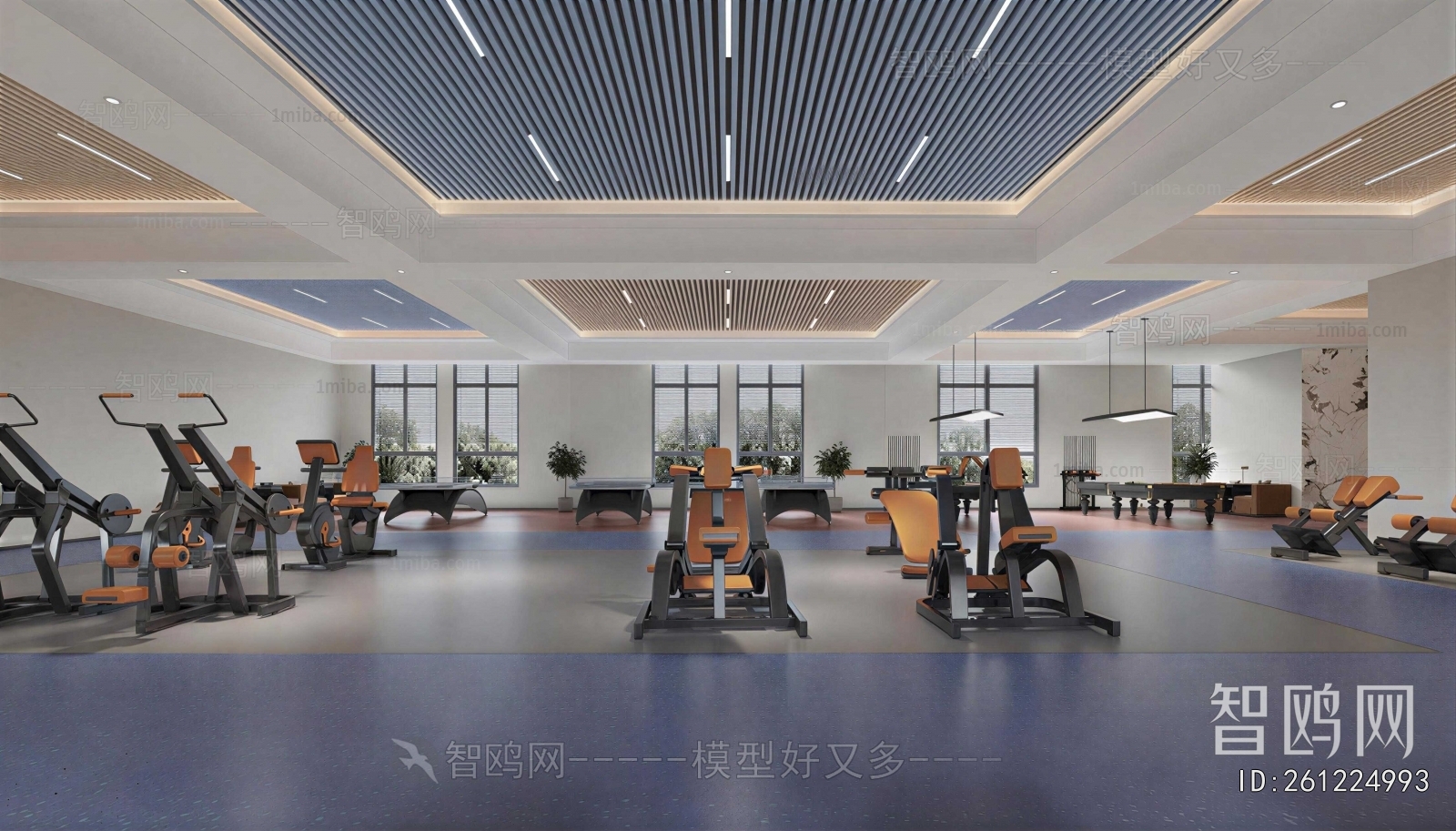 Modern Gym