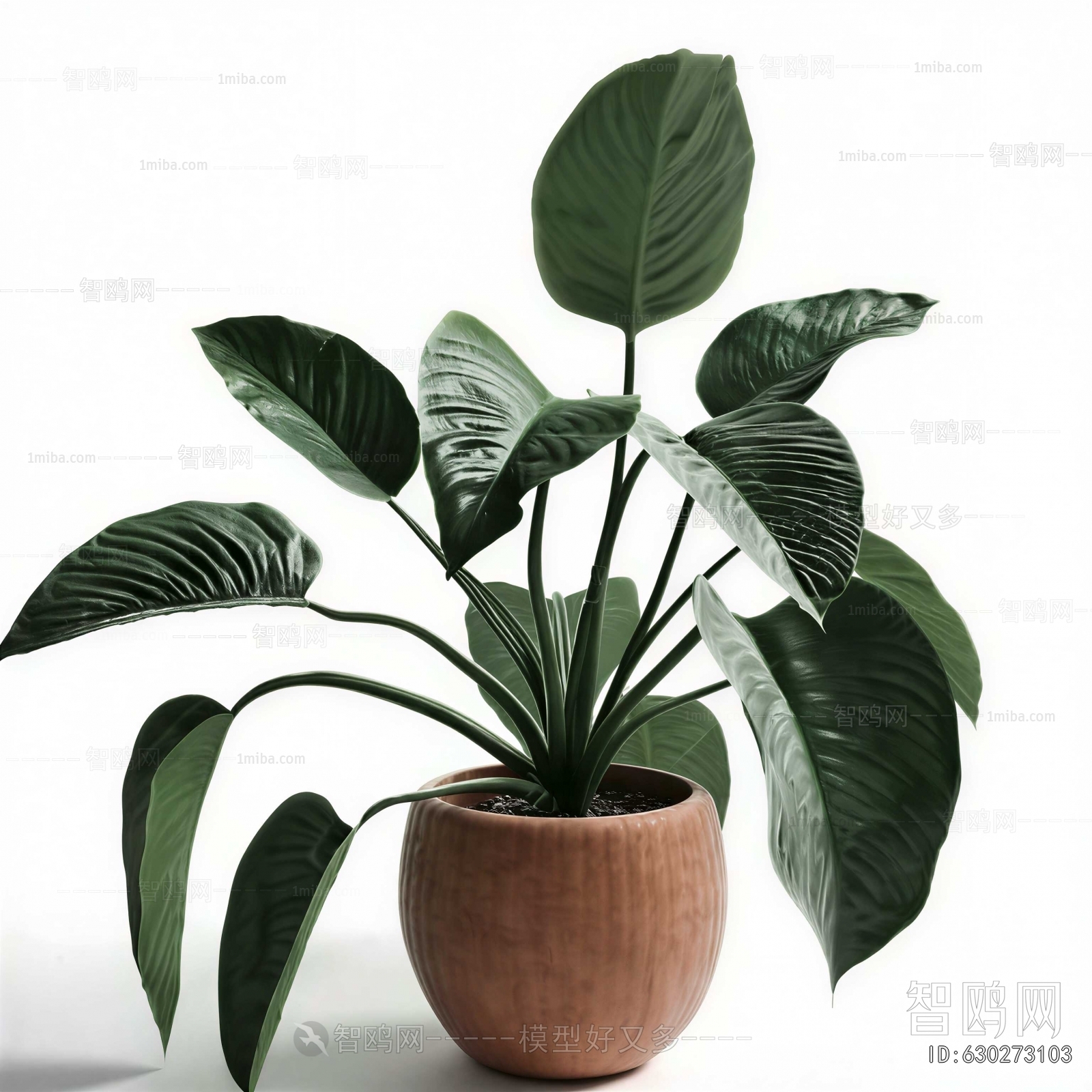 Modern Potted Green Plant