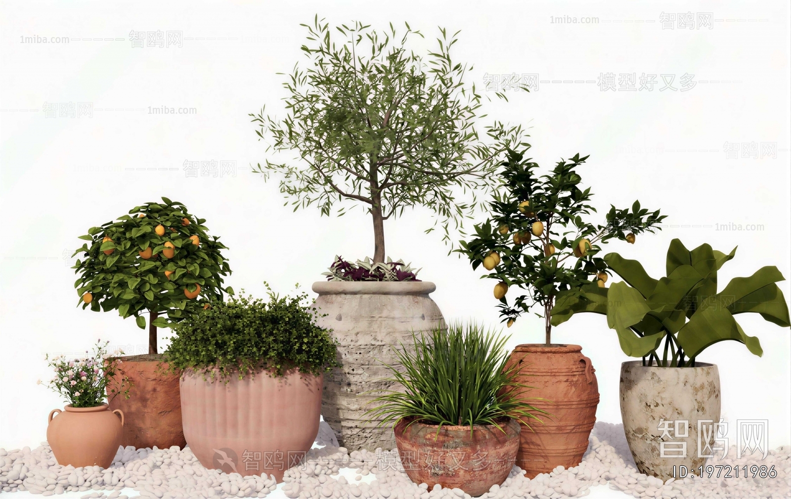 Modern Ground Green Plant Potted Plants