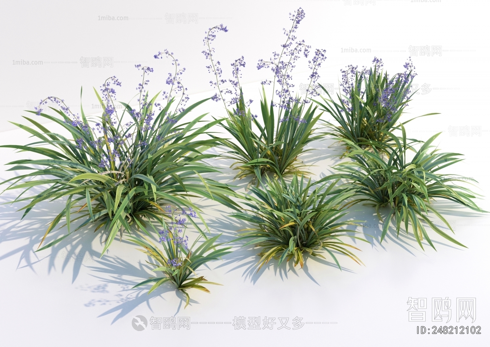 Modern The Grass