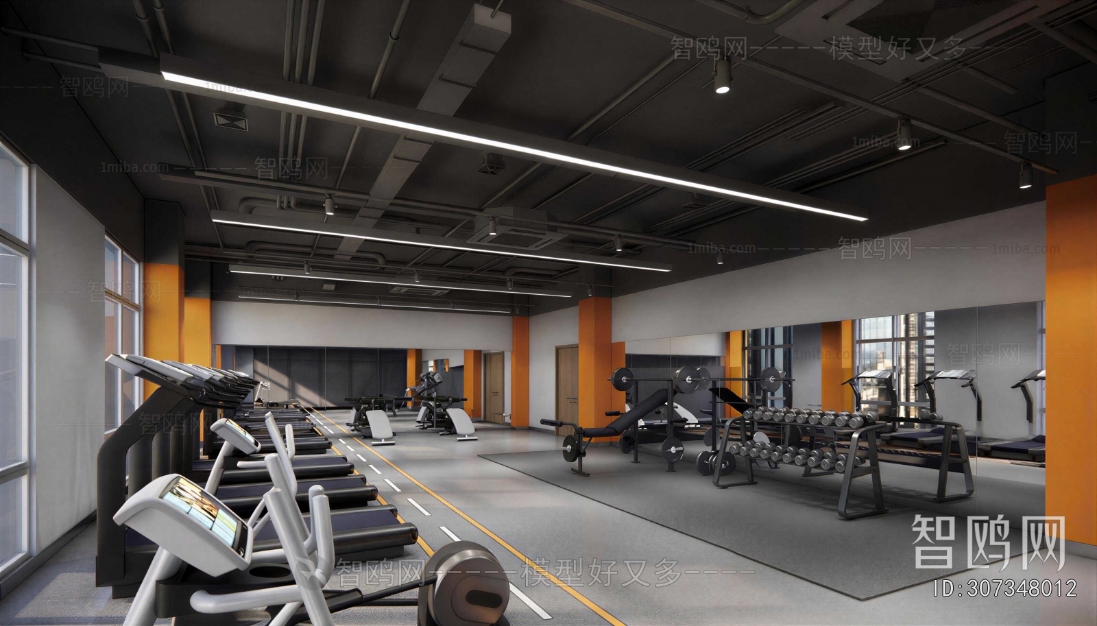 Modern Gym