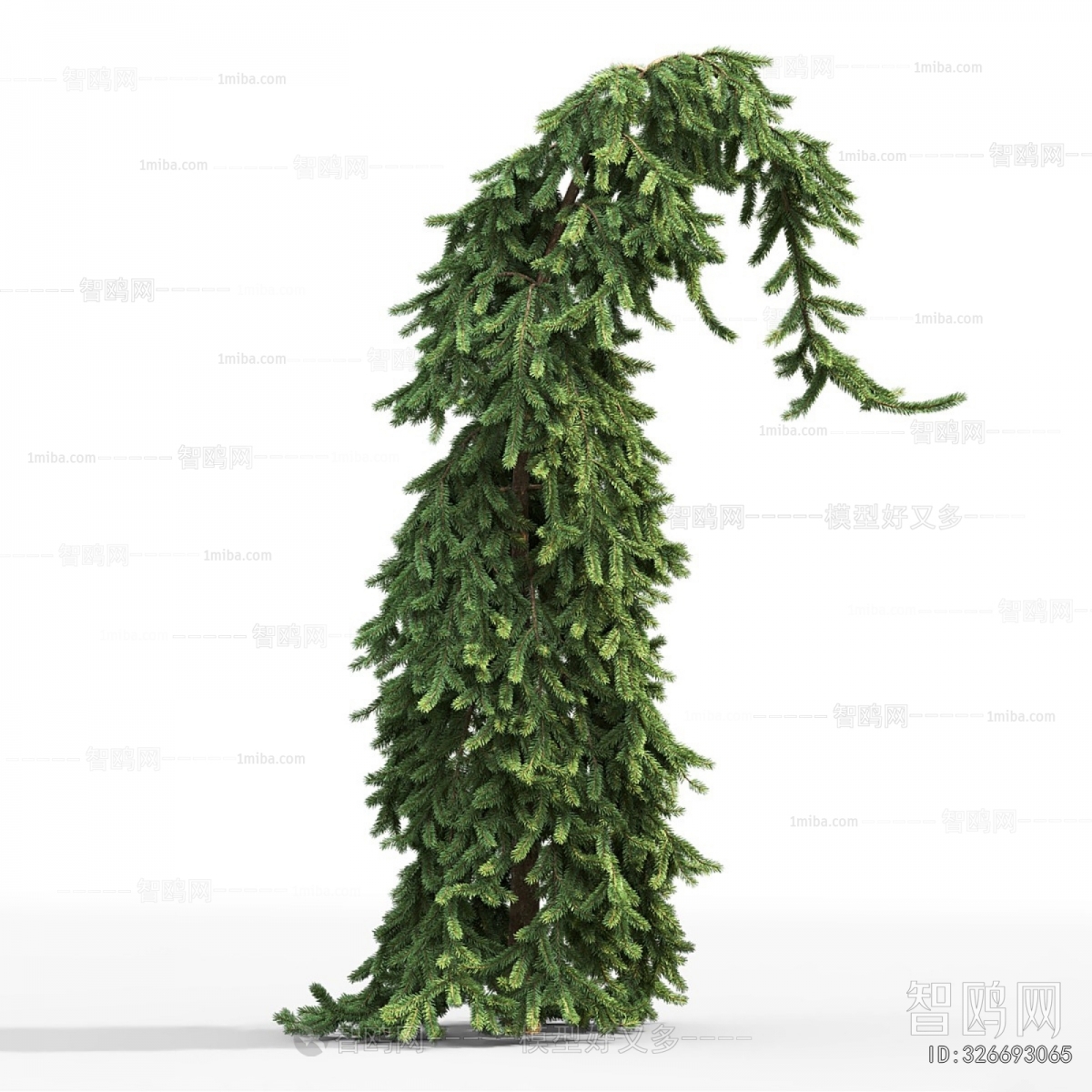 Modern Shrubbery