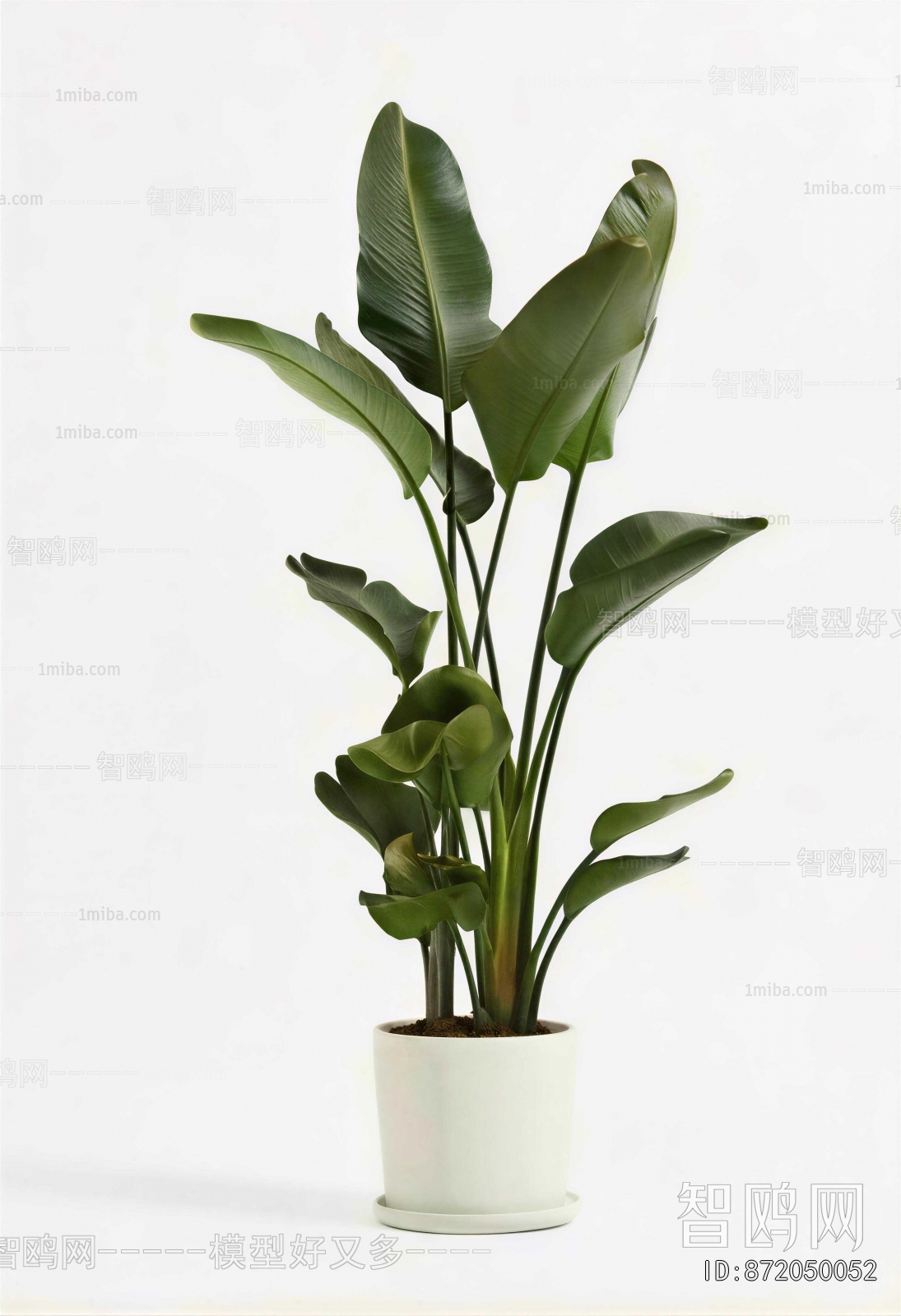 Modern Ground Green Plant Potted Plants