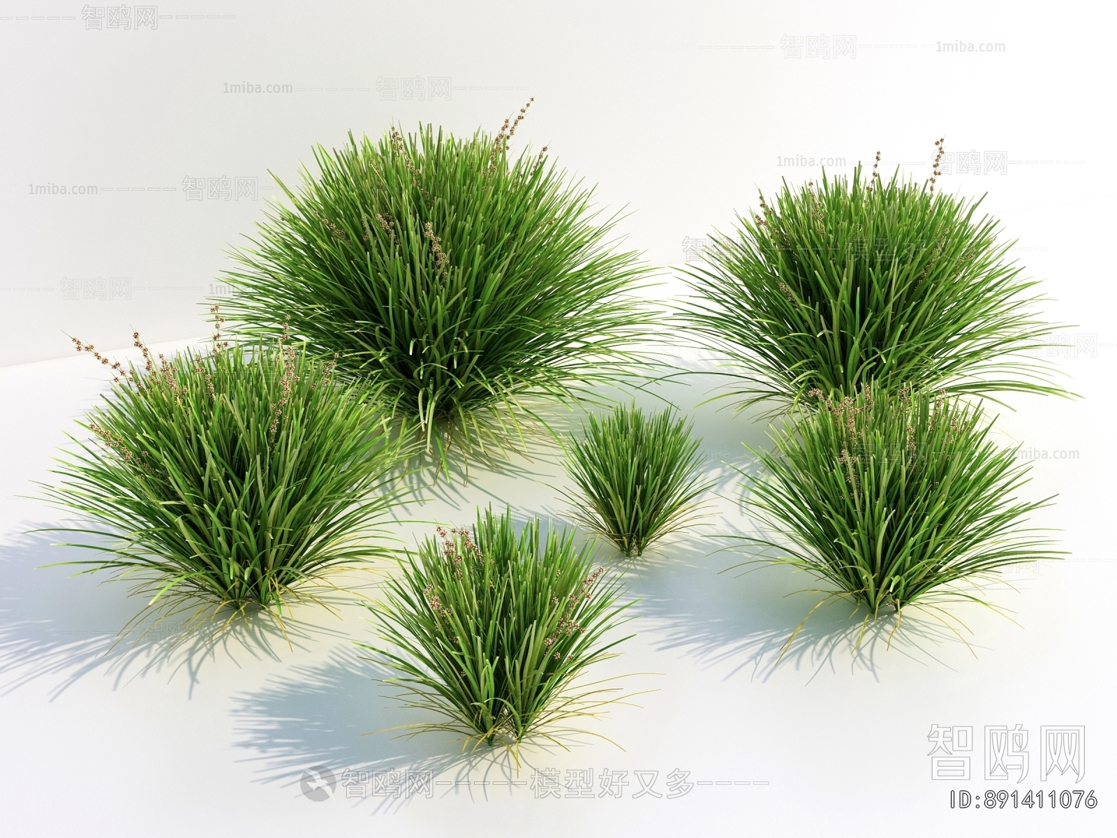 Modern The Grass