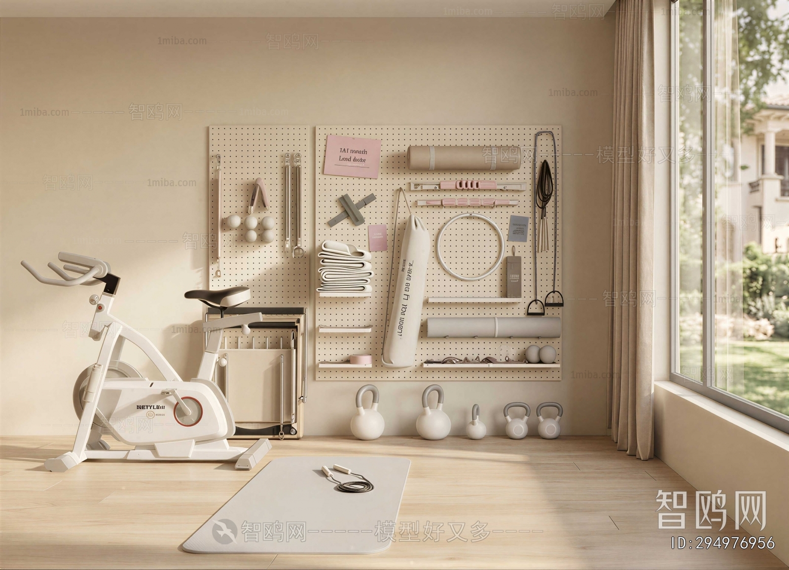 Modern Home Fitness Room