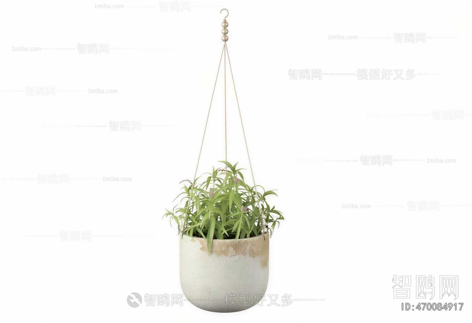 Modern Chlorophytum Comosum