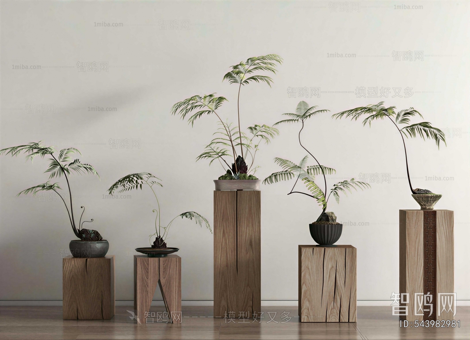 Wabi-sabi Style Bonsai
