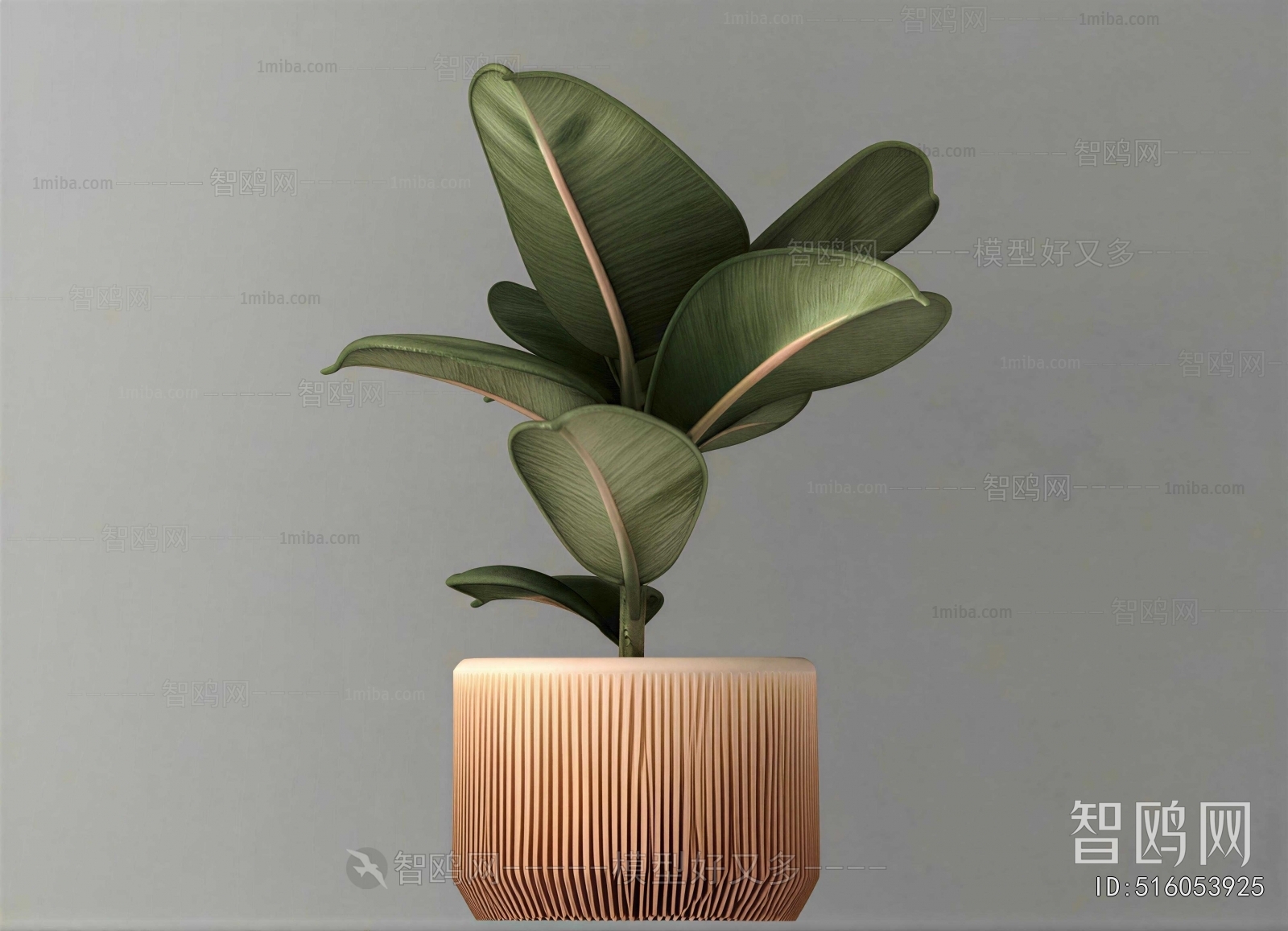 Modern Ground Green Plant Potted Plants