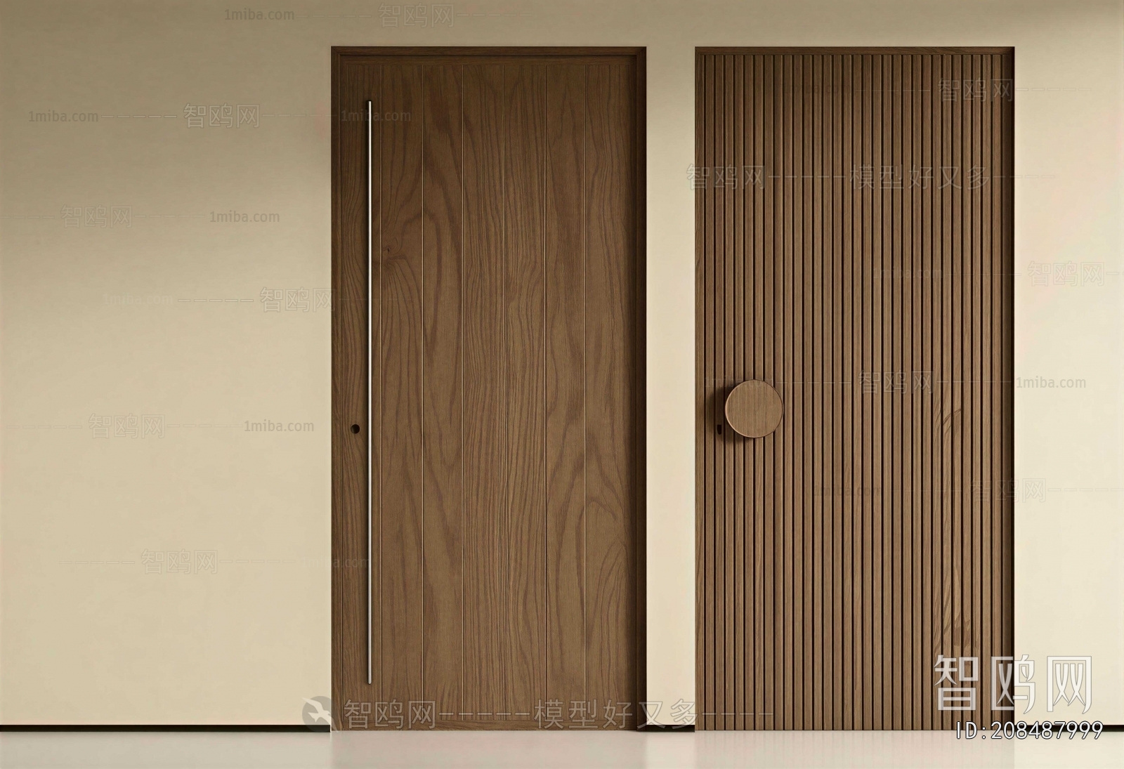 Modern Single Door