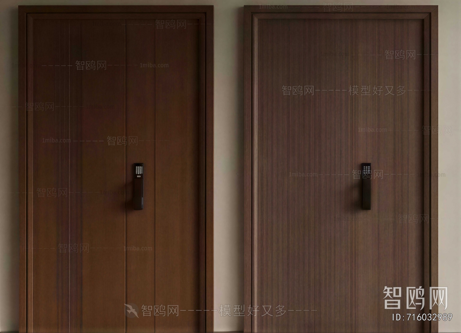 Modern Entrance Door