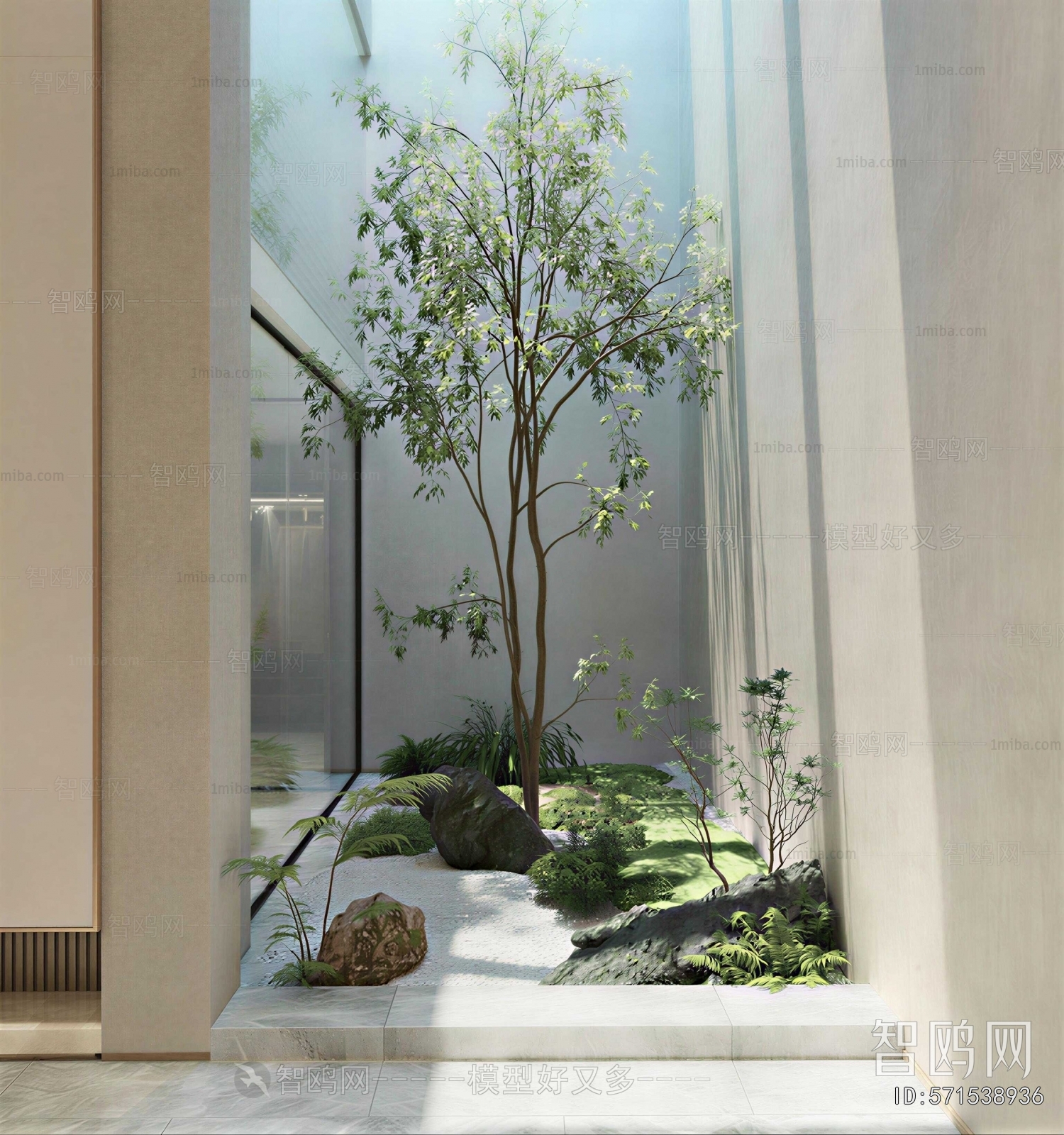 Modern Plant Landscaping