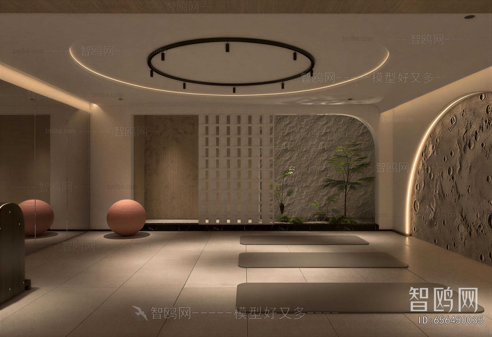 Modern Yoga Room