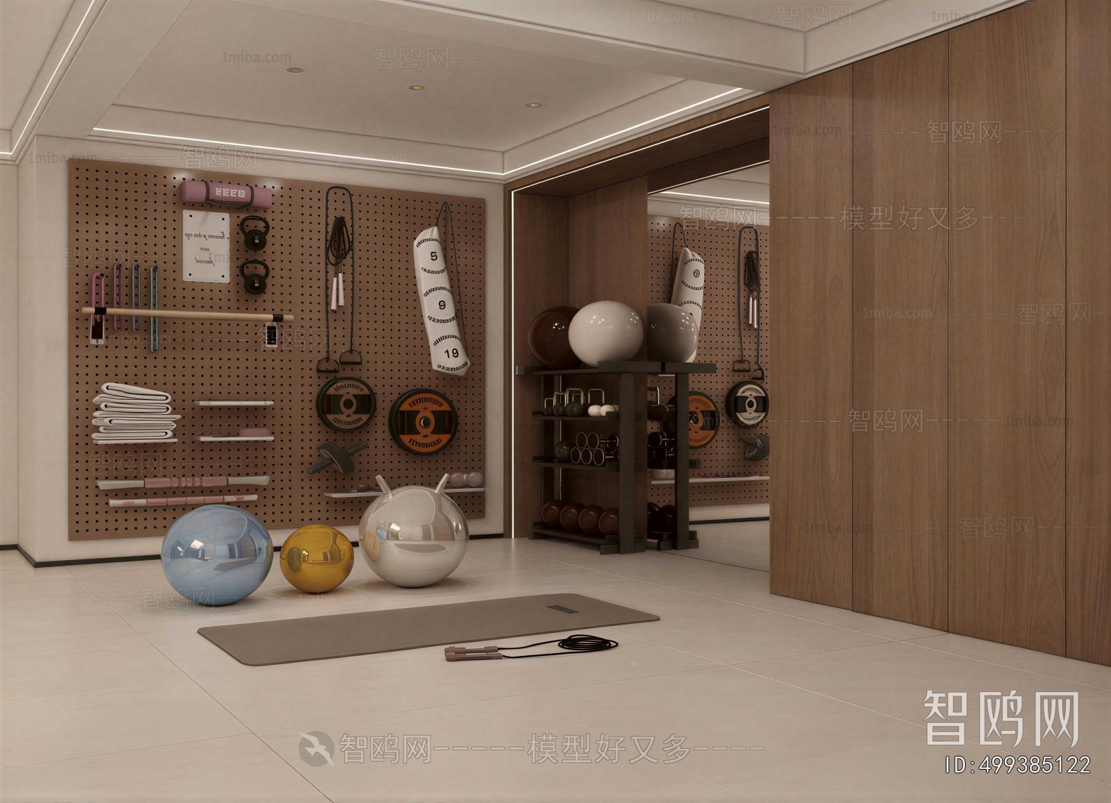 Modern Home Fitness Room