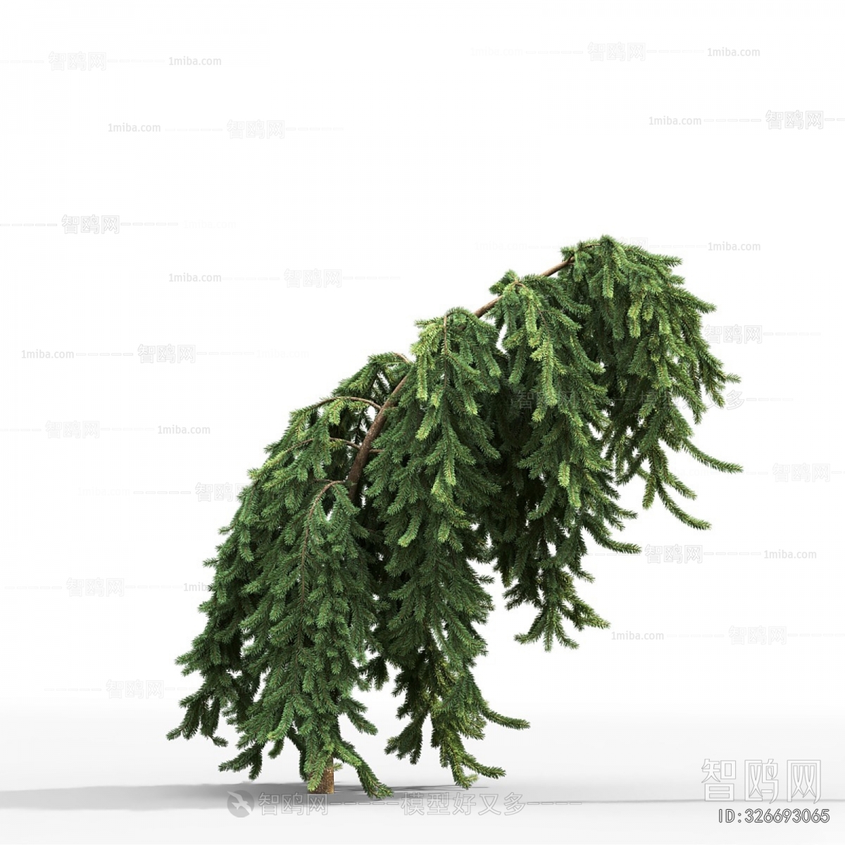 Modern Shrubbery