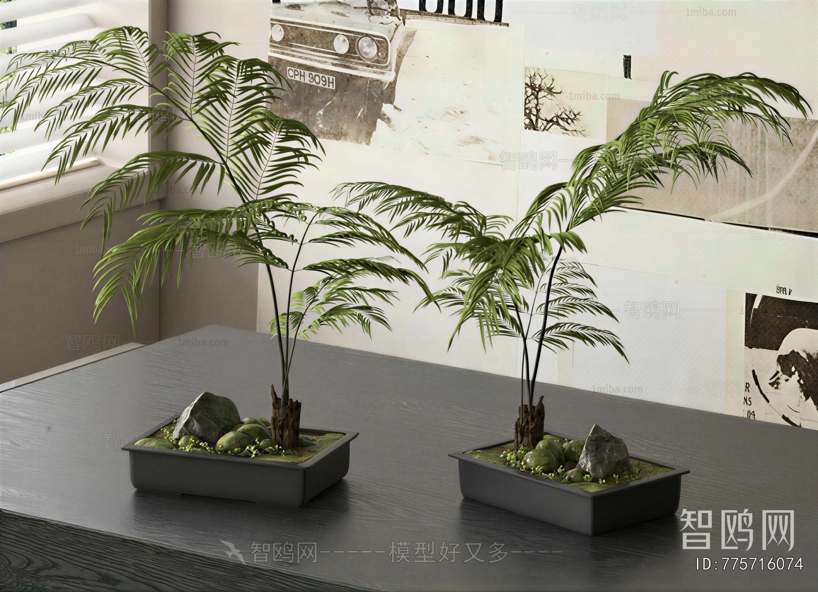 Modern Bonsai