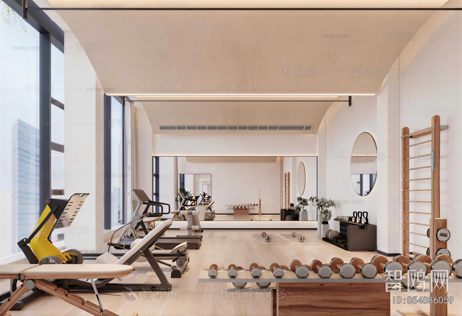 Modern Home Fitness Room