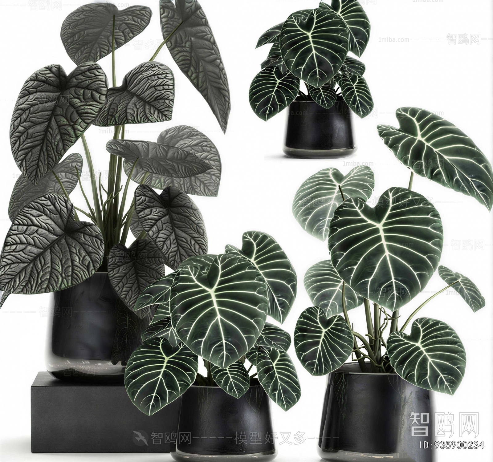 Modern Ground Green Plant Potted Plants