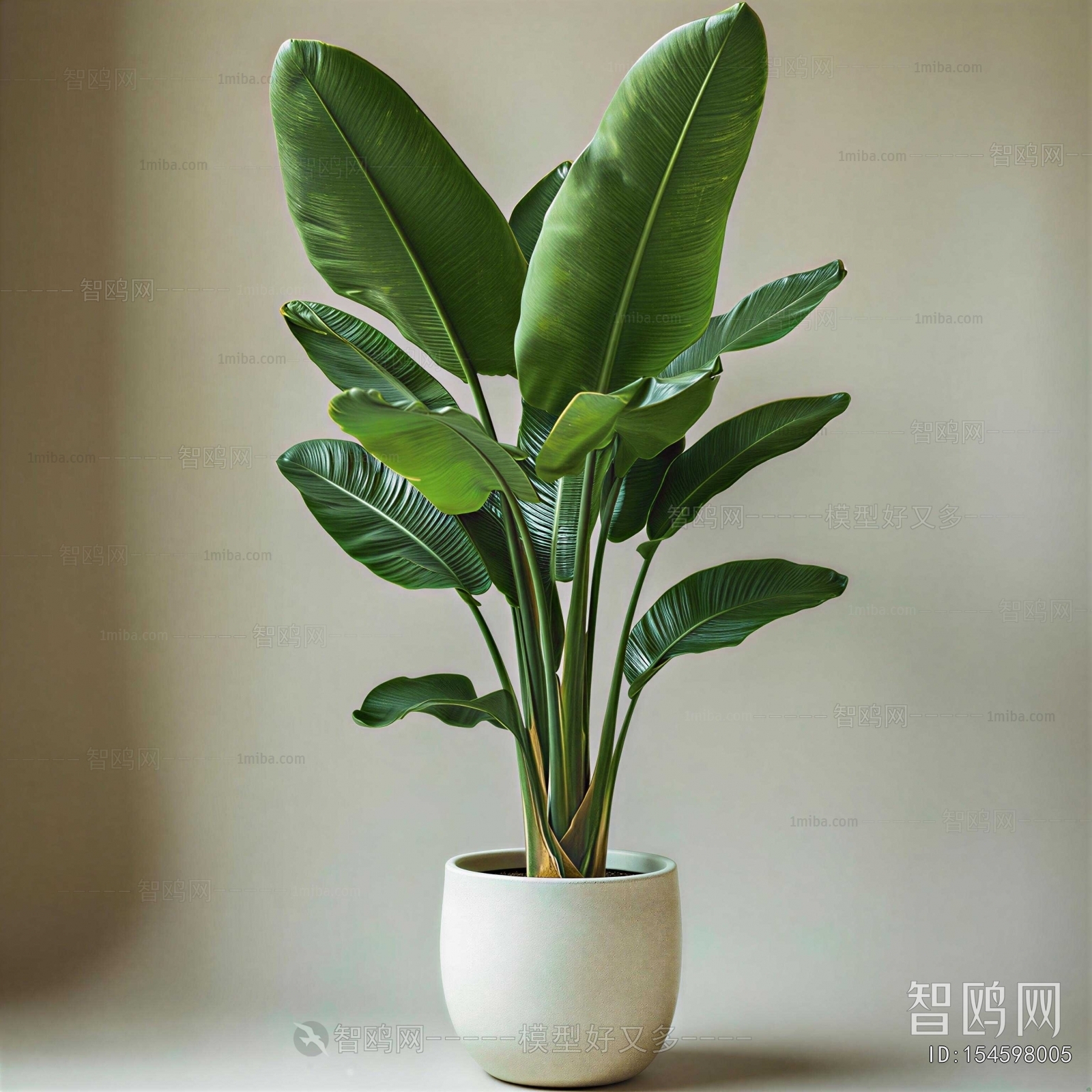 Modern Ground Green Plant Potted Plants