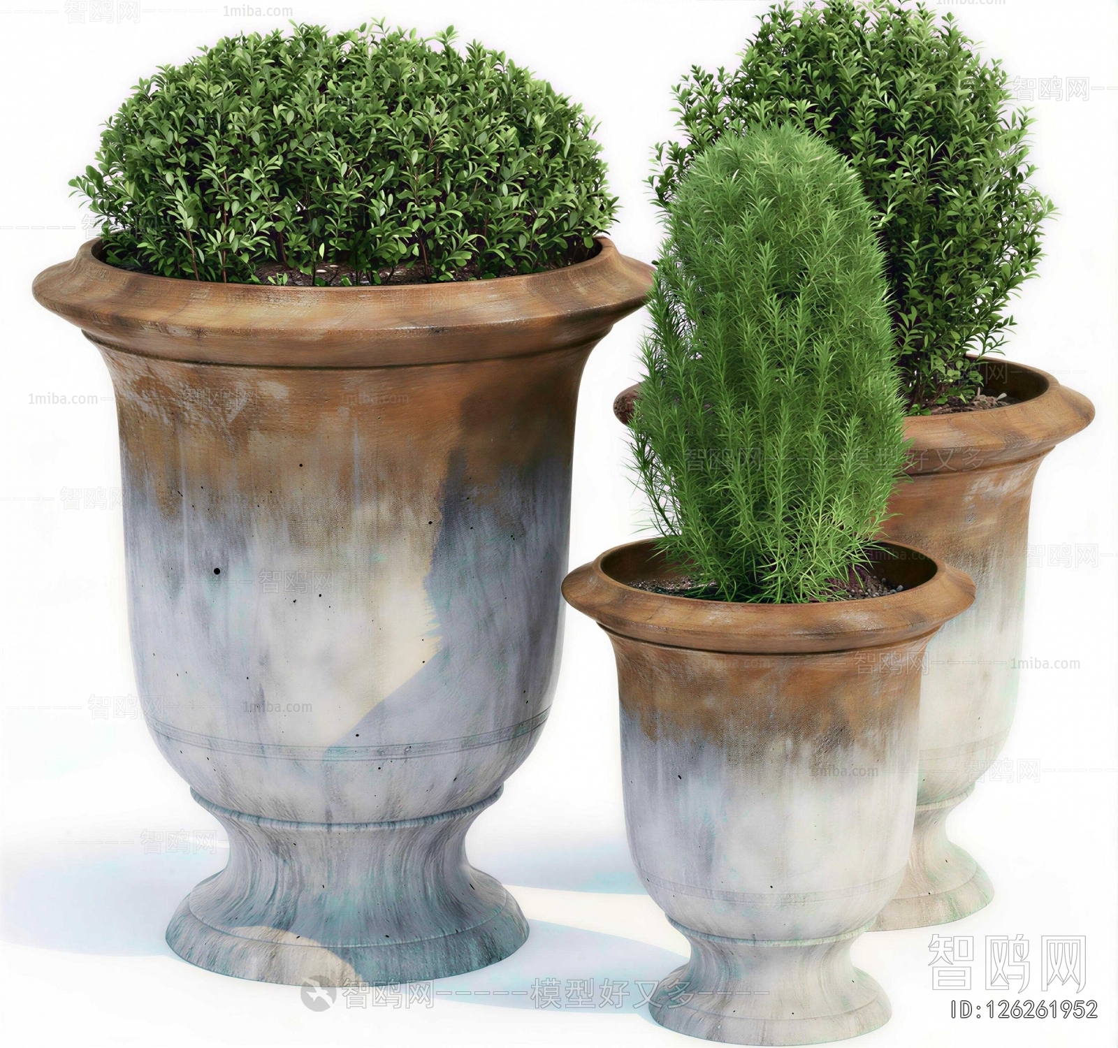 Modern Ground Green Plant Potted Plants