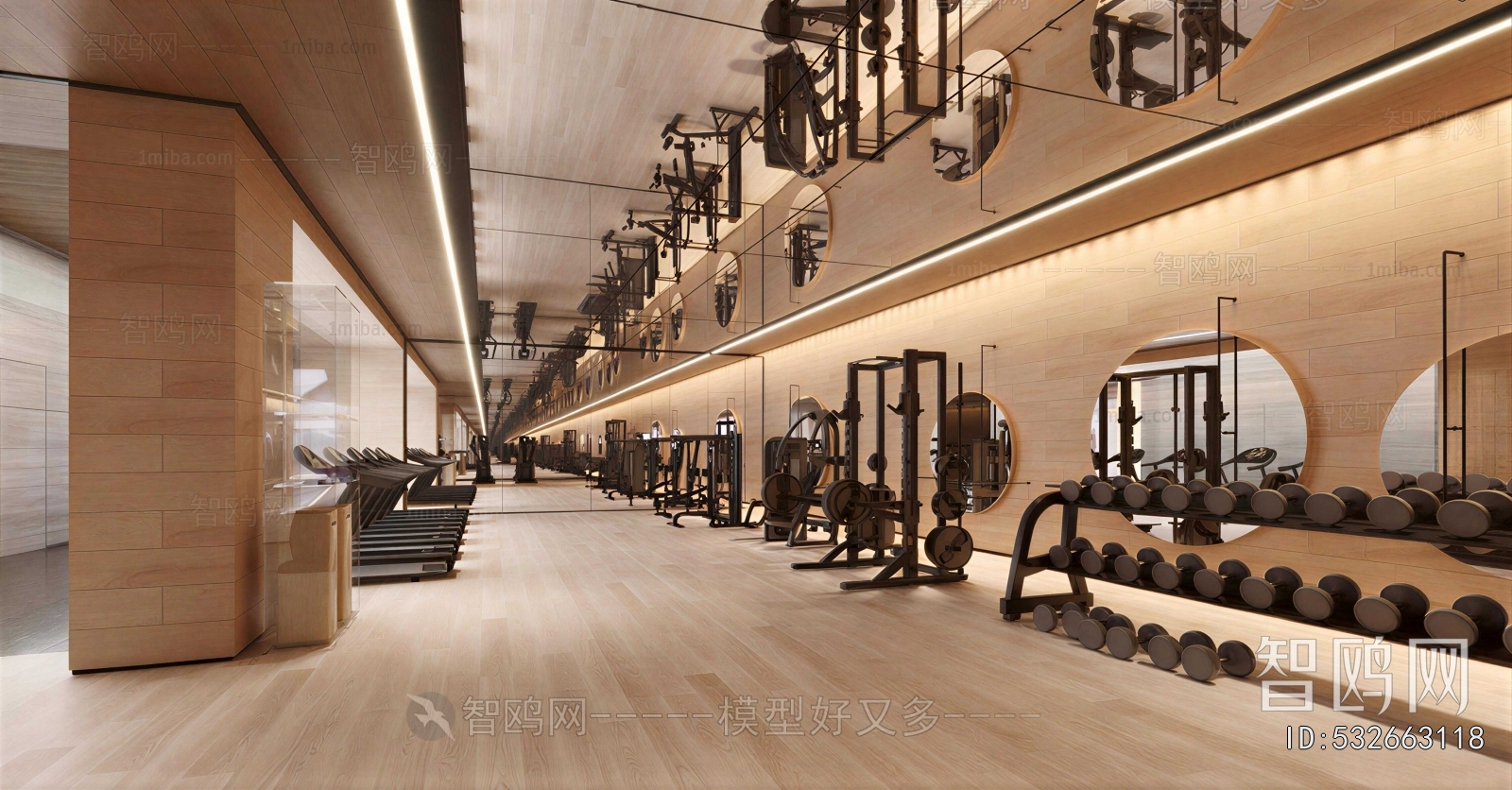 Modern Gym