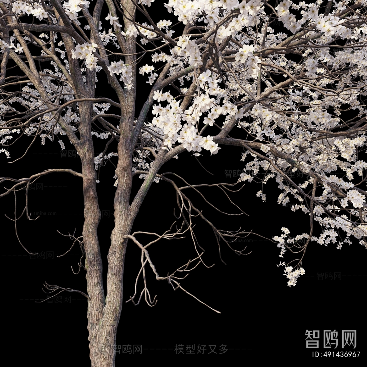 Modern Tree