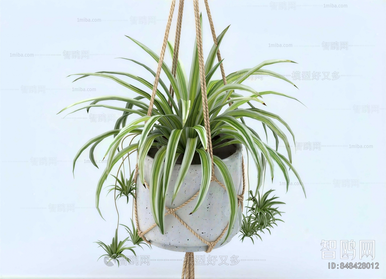 Modern Potted Green Plant