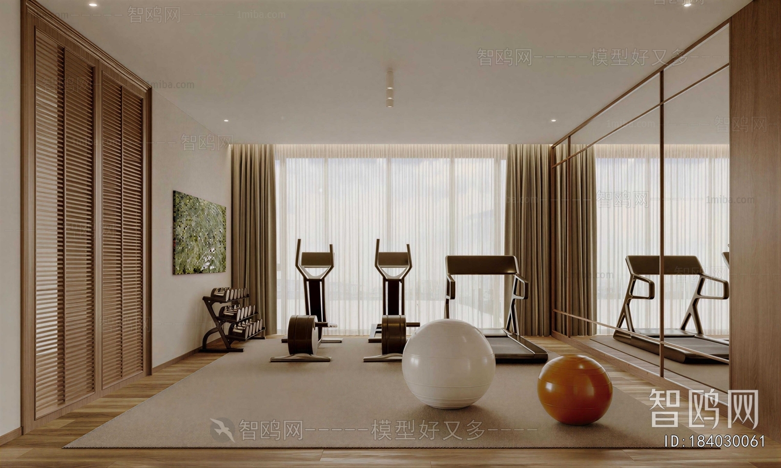 Modern Home Fitness Room