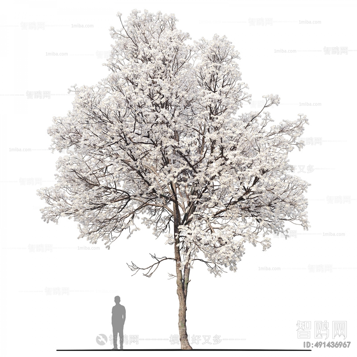 Modern Tree