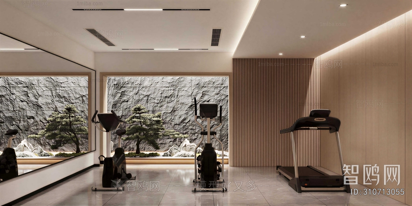 Modern Home Fitness Room