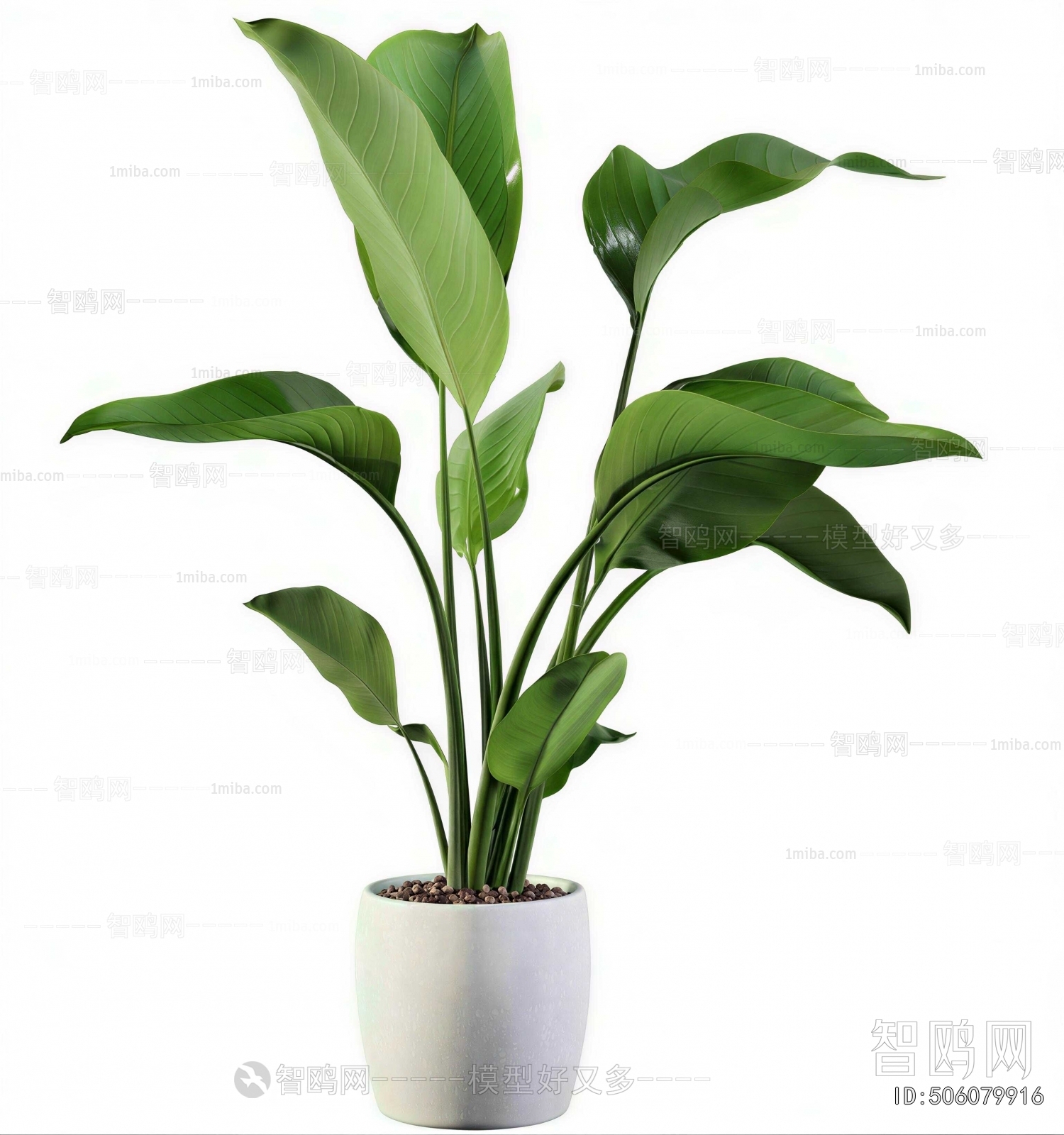Modern Ground Green Plant Potted Plants