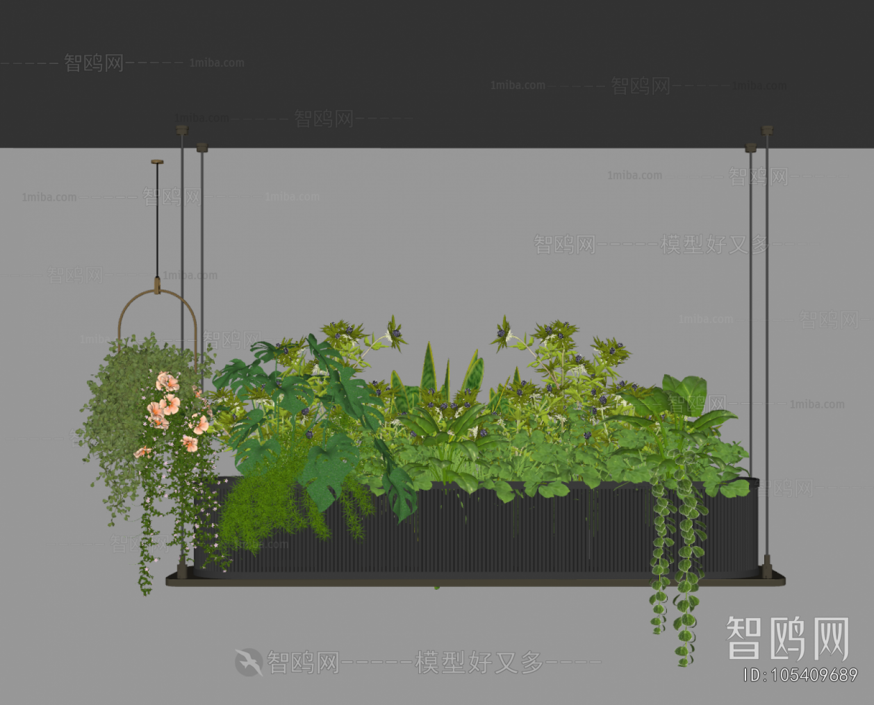 Modern Plant Landscaping