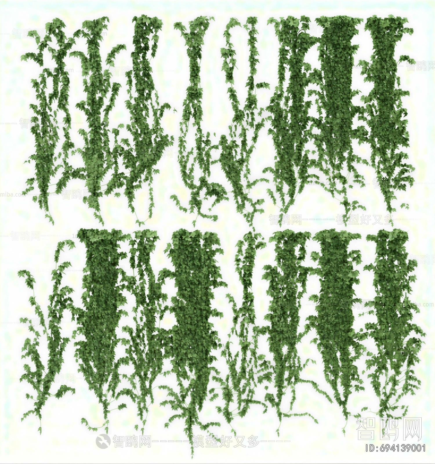 Modern Vine