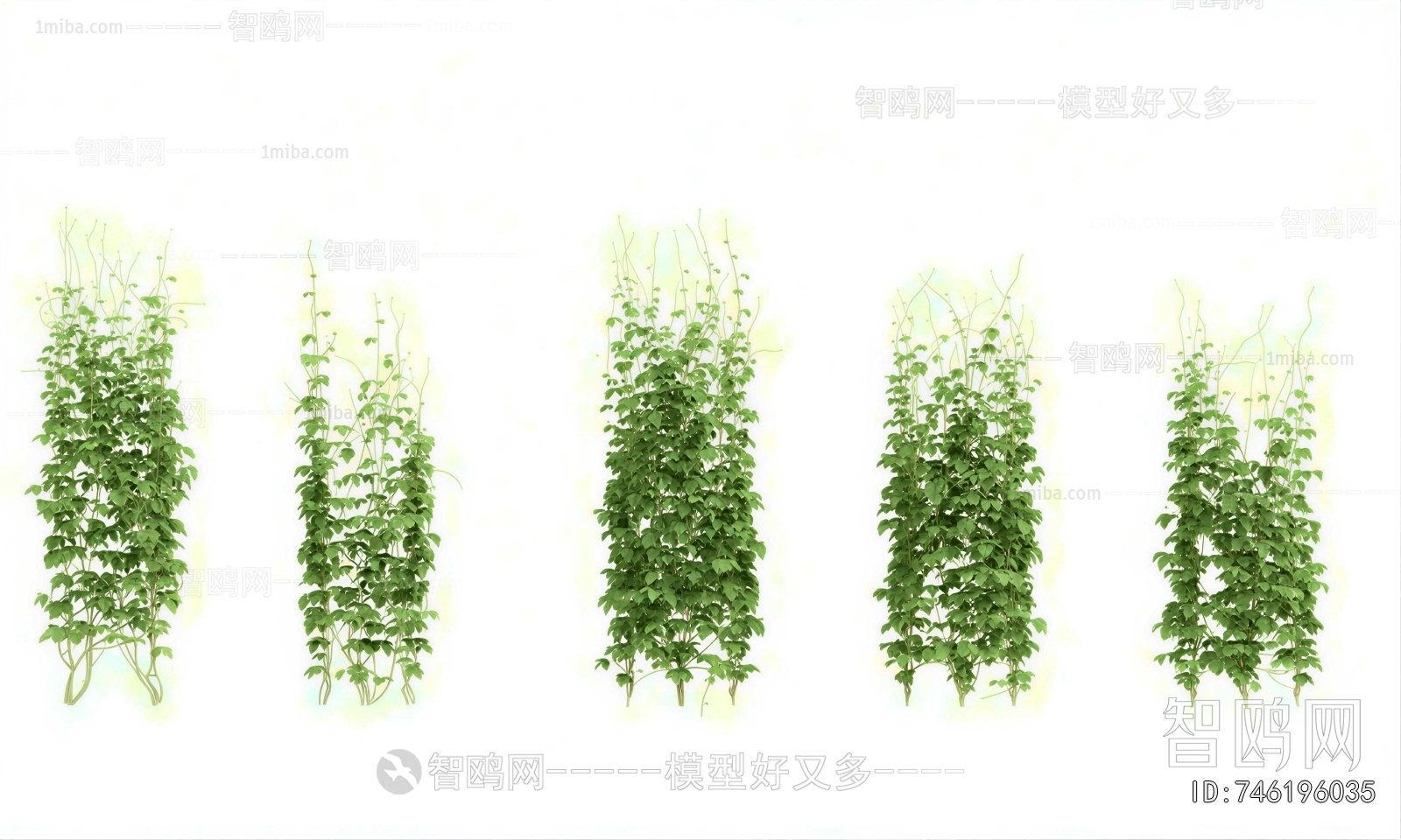 Modern Plant Wall
