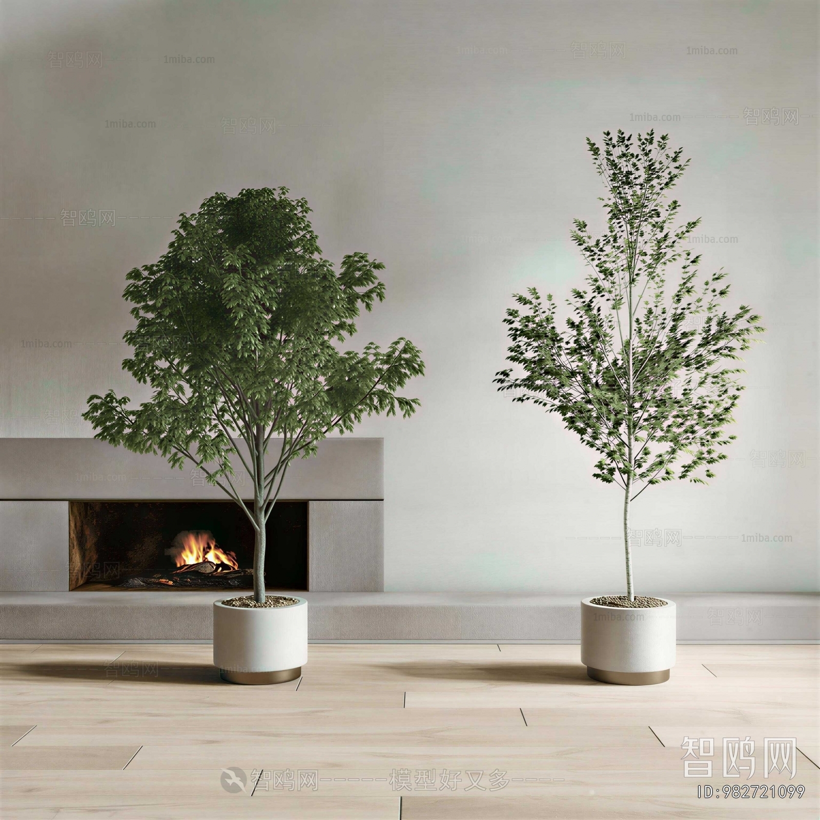 Modern Ground Green Plant Potted Plants