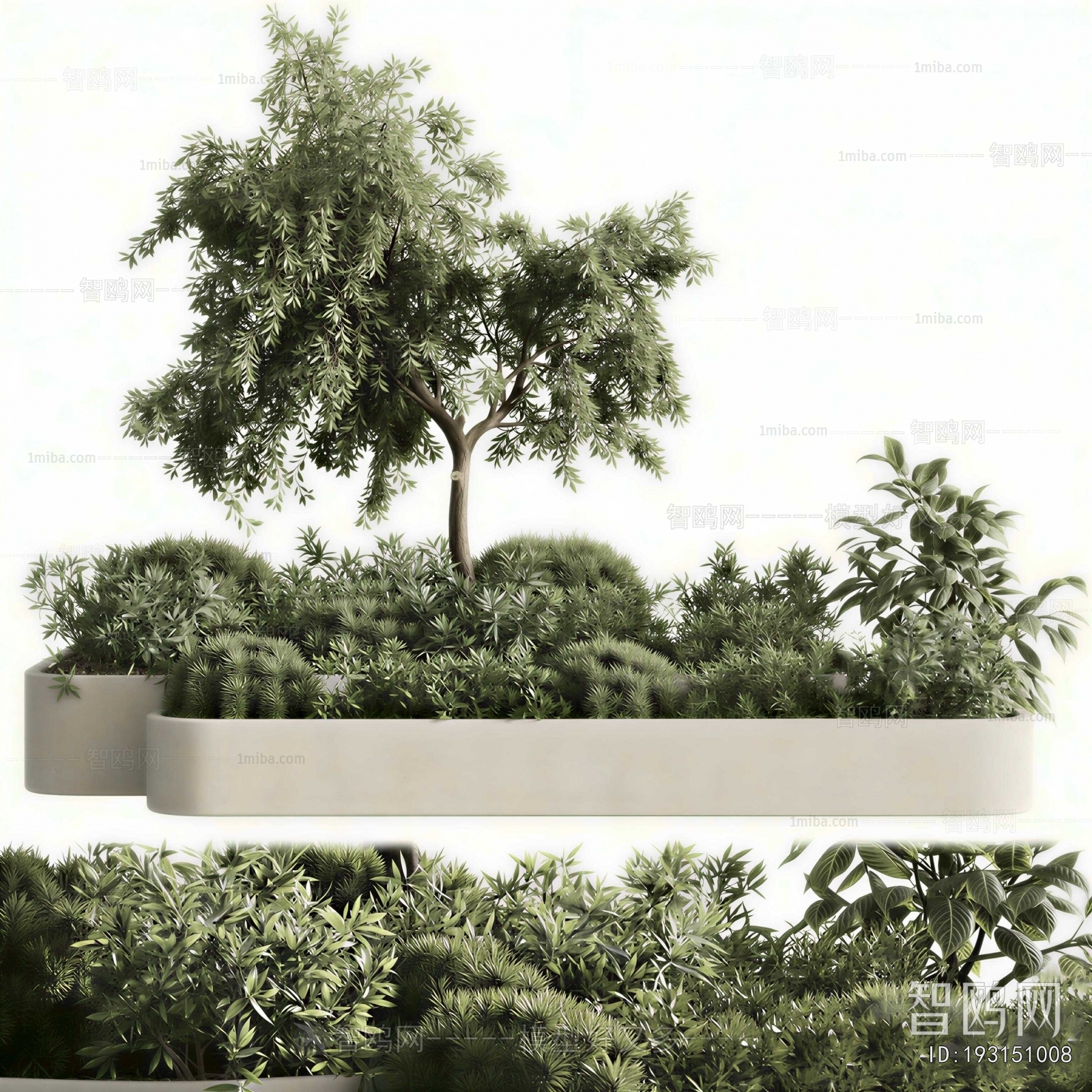 Modern Flower Bed, Flower Bowl, Flower Box