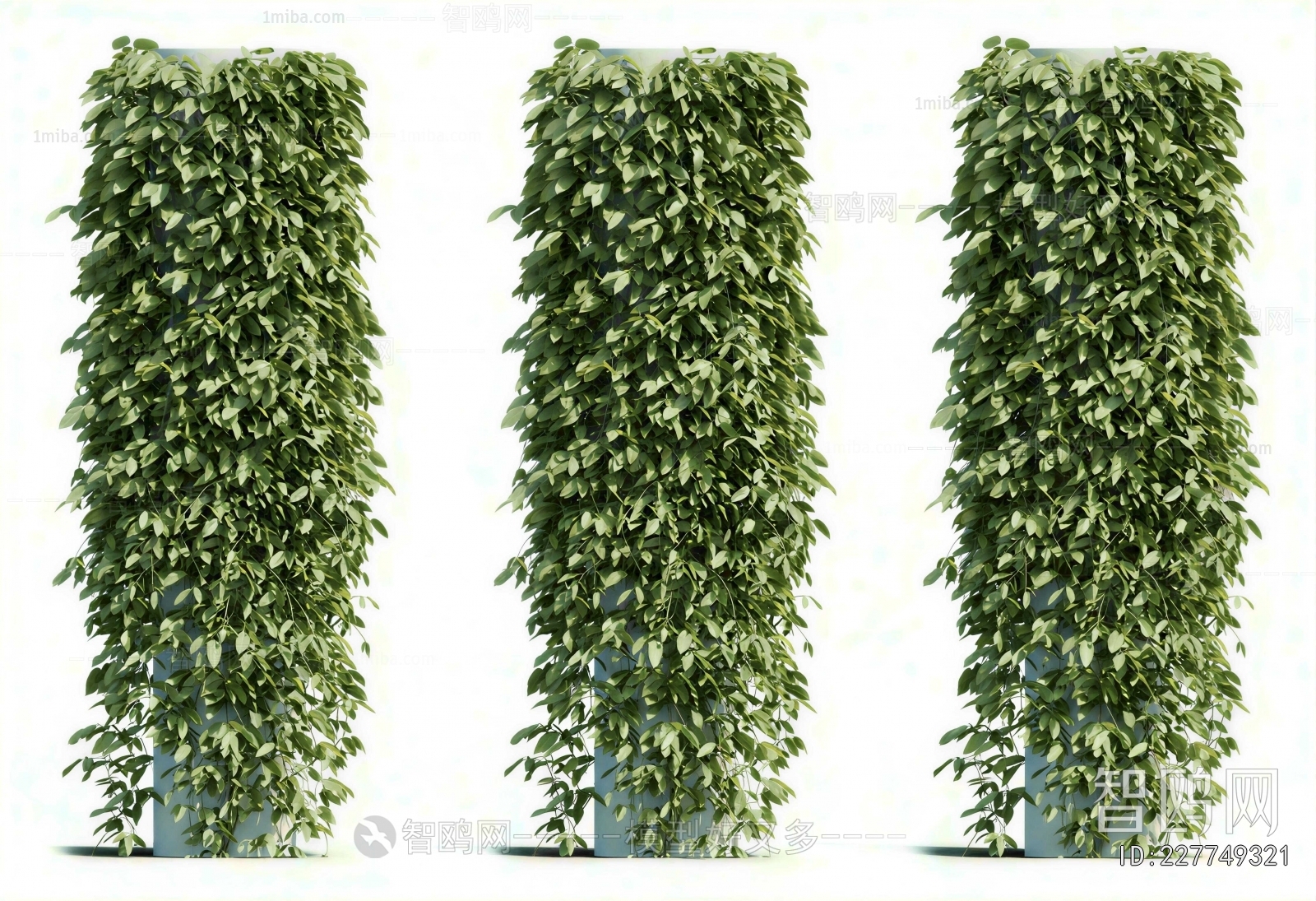 Modern Vine