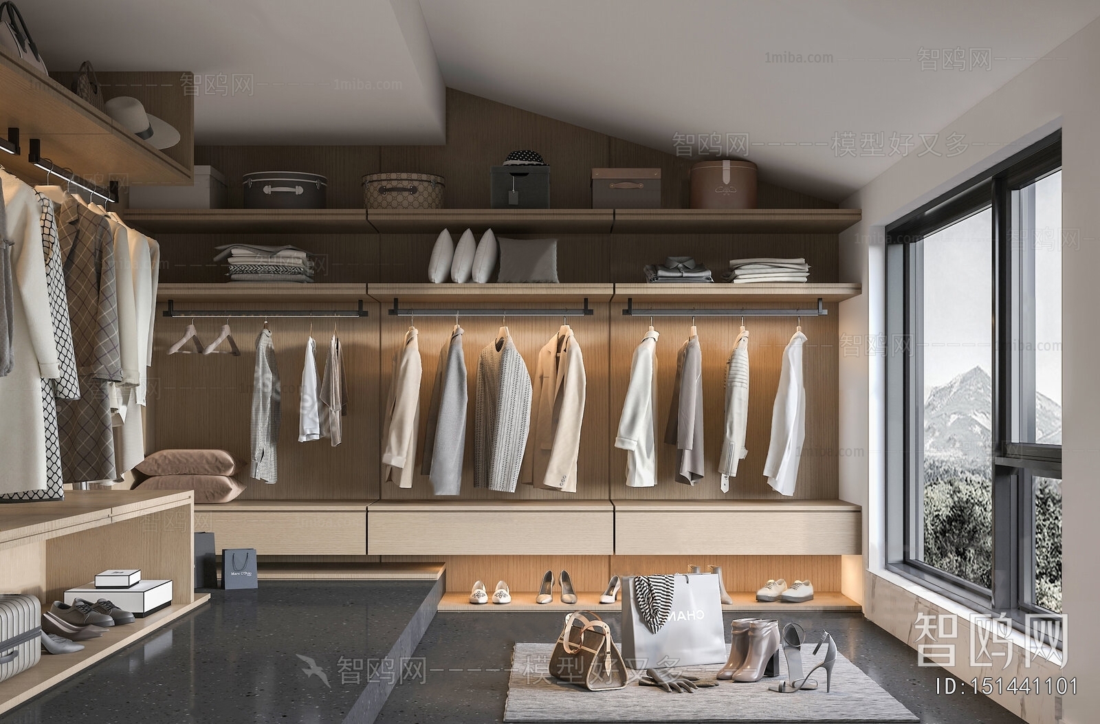 Modern Clothes Storage Area