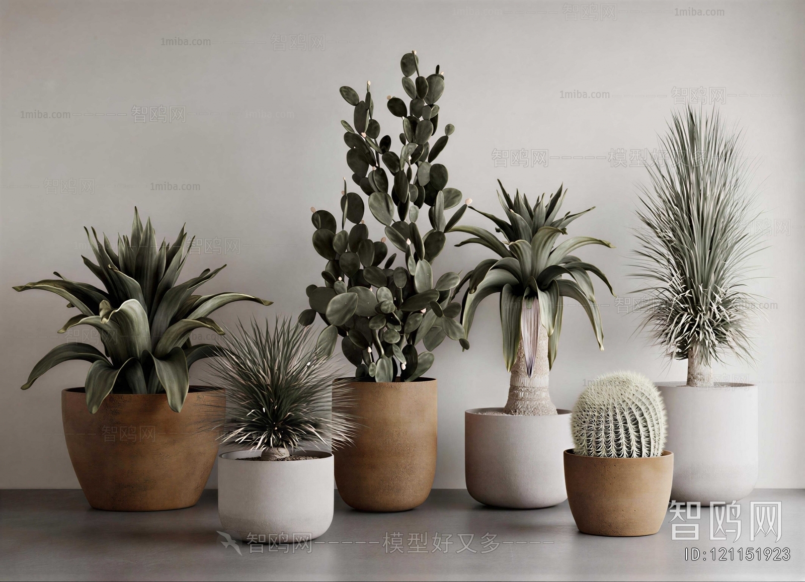 Modern Potted Green Plant